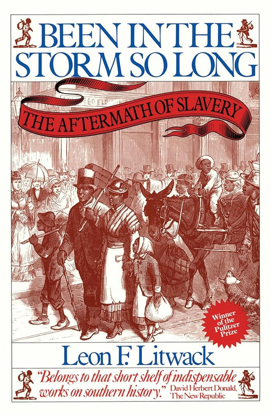 Been in the Storm So Long: The Aftermath of Slavery cover image