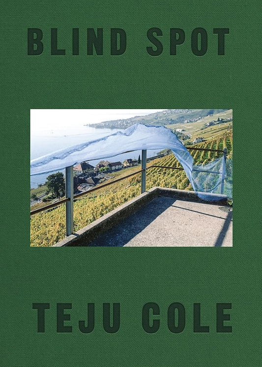 Blind Spot cover image