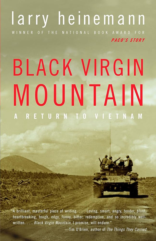 Black Virgin Mountain: A Return to Vietnam cover image