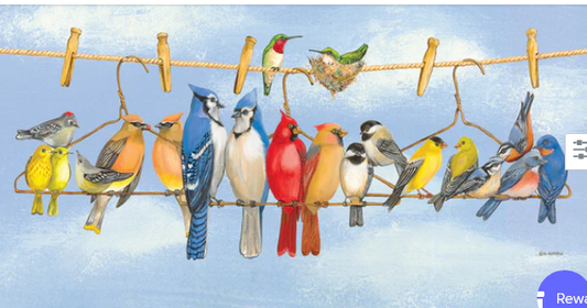 SunsOut - Hanging Out, 300 piece