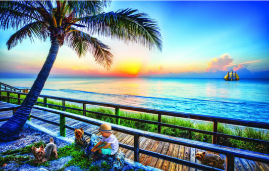 End of Day Play - 550 pc Jigsaw Puzzle