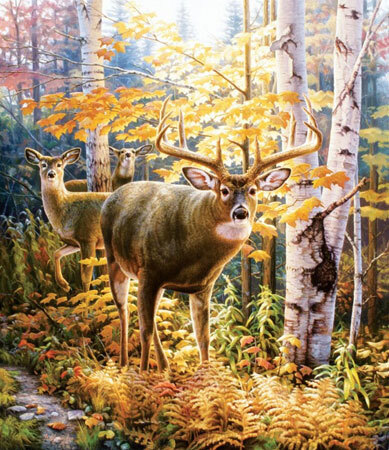 EYE TO EYE 550 PIECE JIGSAW PUZZLE