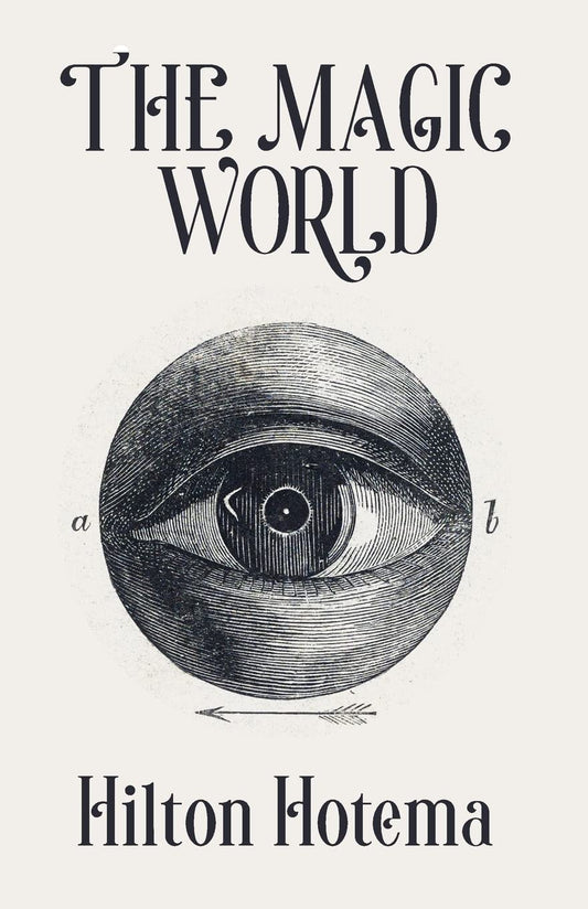 The Magic World Paperback