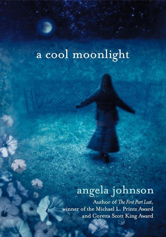 A Cool Moonlight cover image