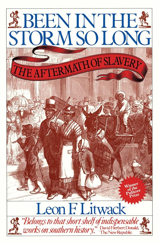 Been in the Storm So Long: The Aftermath of Slavery cover image
