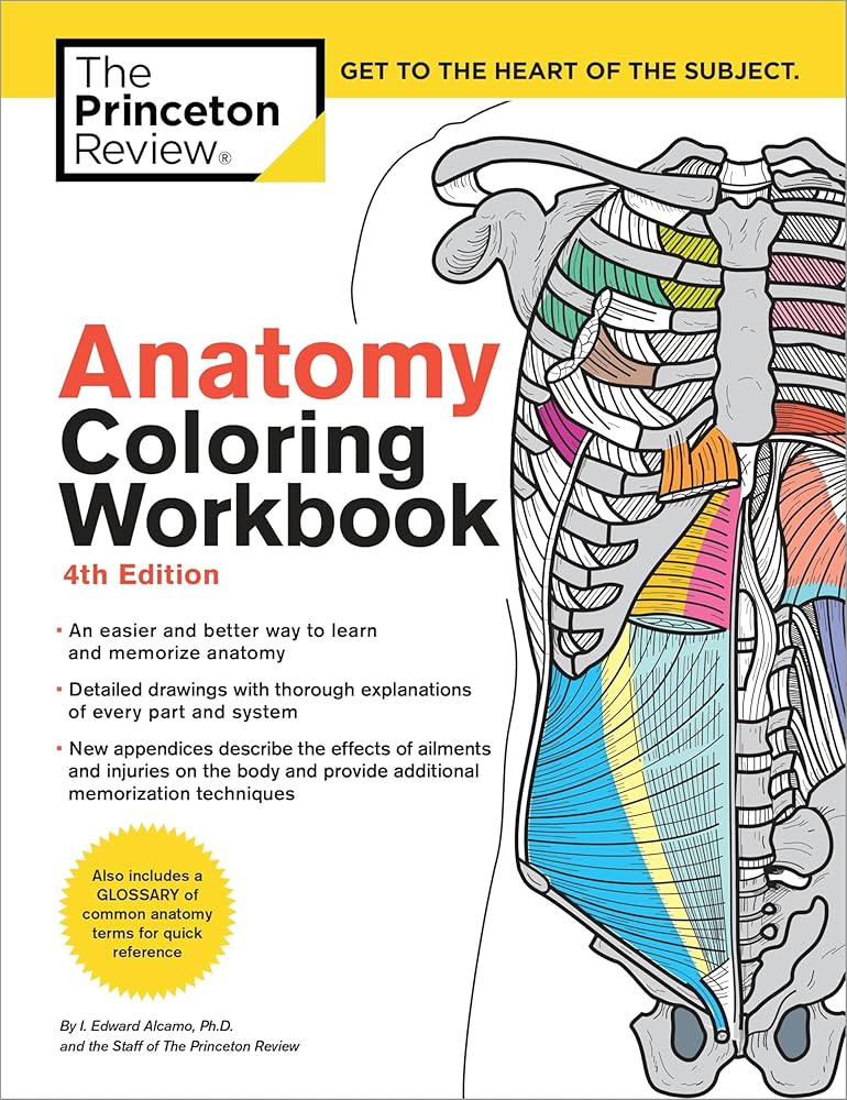 Anatomy Coloring Workbook, 4th Edition: An Easier and Better Way to Learn Anatomy cover image
