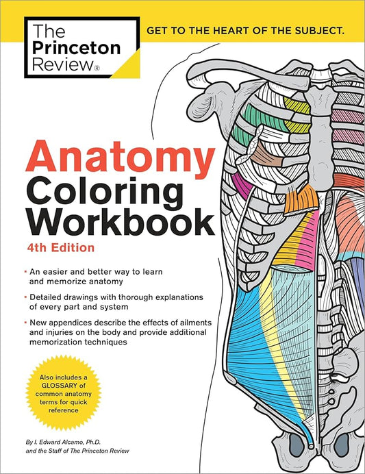 Anatomy Coloring Workbook, 4th Edition: An Easier and Better Way to Learn Anatomy cover image