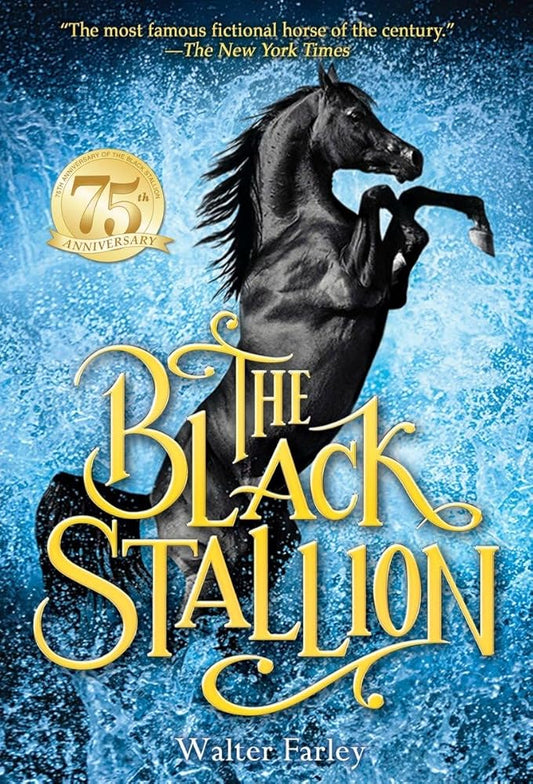 The Black Stallion cover image