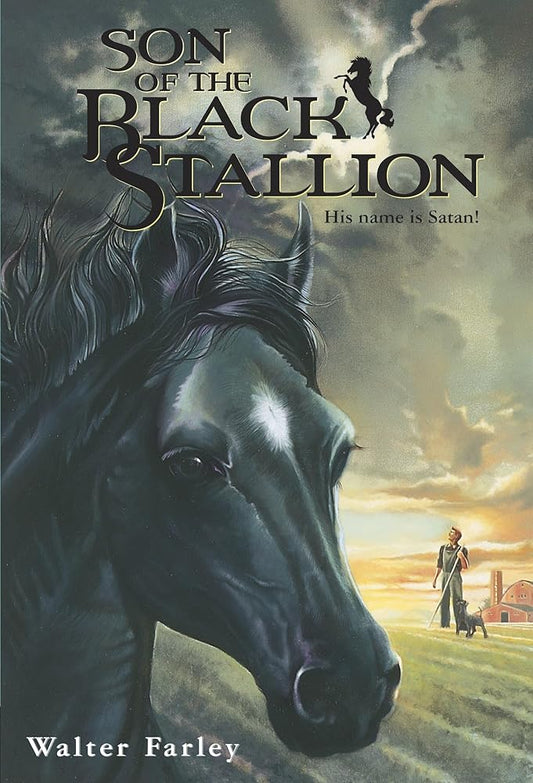 Son of the Black Stallion cover image