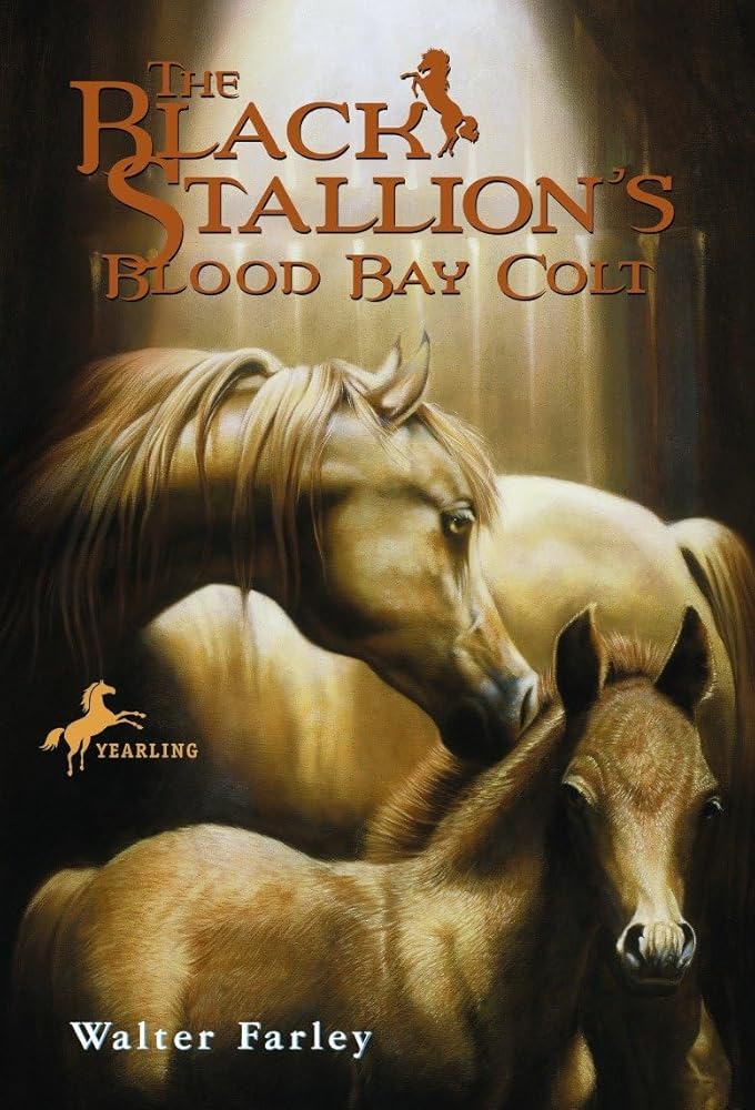 The Black Stallion's Blood Bay Colt: (Reissue) cover image