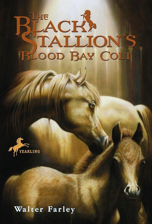 The Black Stallion's Blood Bay Colt: (Reissue) cover image