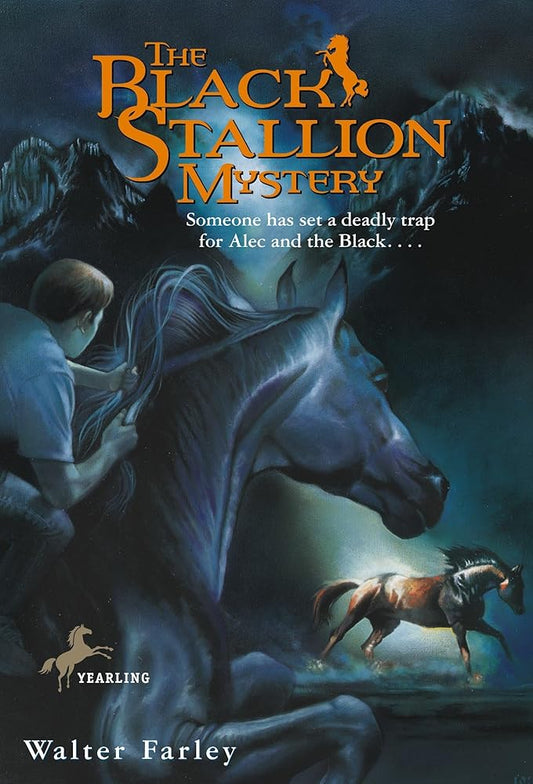 The Black Stallion Mystery cover image