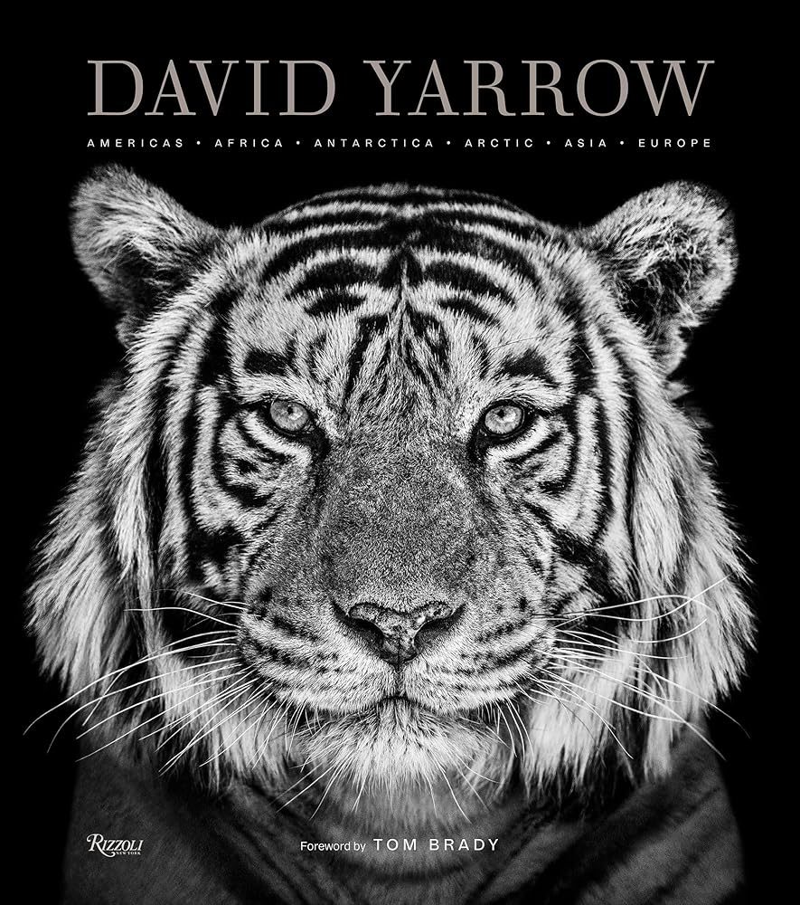 David Yarrow Photography: Americas Africa Antarctica Arctic Asia Europe cover image