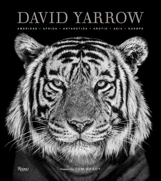 David Yarrow Photography: Americas Africa Antarctica Arctic Asia Europe cover image