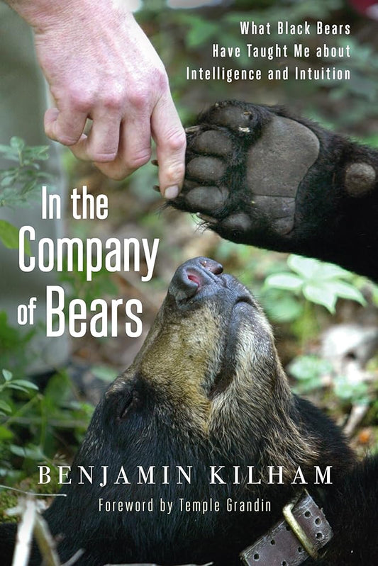 In the Company of Bears: What Black Bears Have Taught Me about Intelligence and Intuition cover image