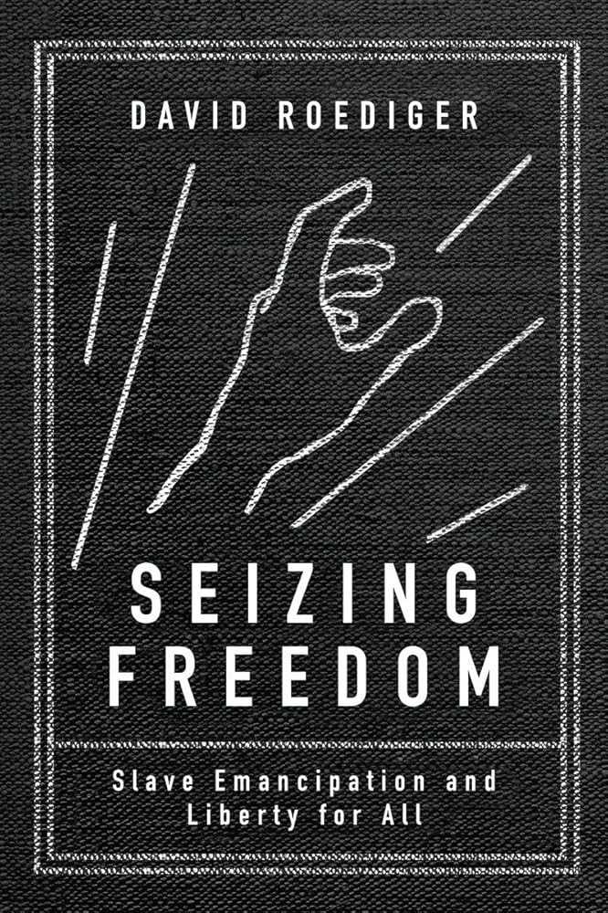 Seizing Freedom: Slave Emancipation and Liberty for All cover image