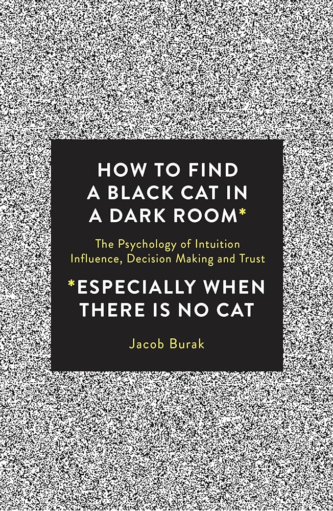 How To Find a Black Cat in a Dark Room: The Psychology of Intuition, Influence, Decision Making and Trust cover image