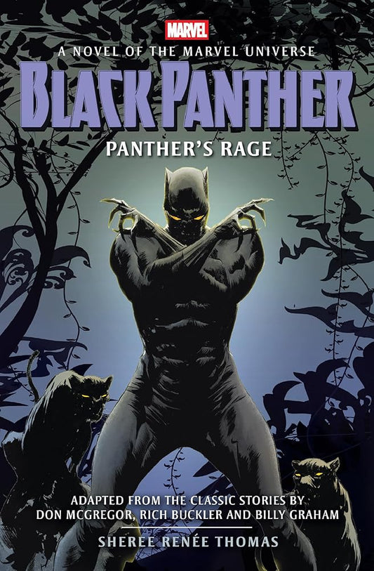 Black Panther: Panther's Rage cover image