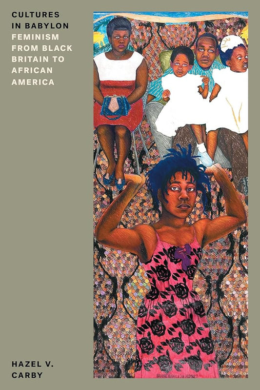 Cultures in Babylon: Feminism from Black Britain to African America (Feminist Classics) cover image