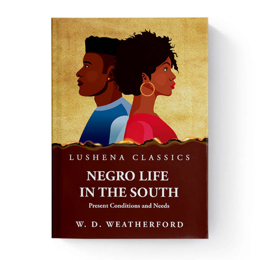 Negro Life in the South Present Conditions and Needs by W. D. Weatherford