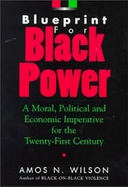 Blueprint for Black Power: A Moral, Political, and Economic Imperative for the Twenty-First Century