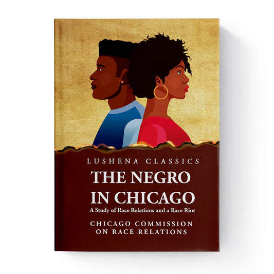 The Negro in Chicago A Study of Race Relations and a Race Riot by Chicago Commission on Race Relations