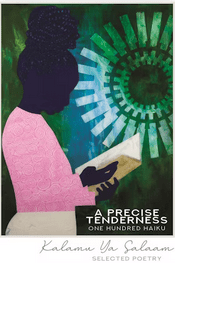 Precise Tenderness 100 Haiku